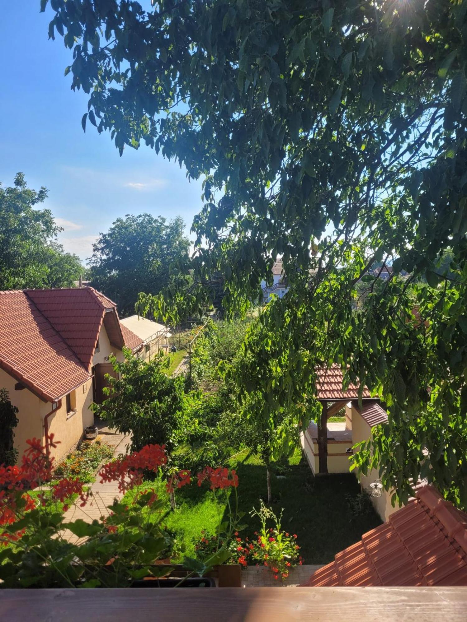 Hotel Bielmann Sînpetru المظهر الخارجي الصورة